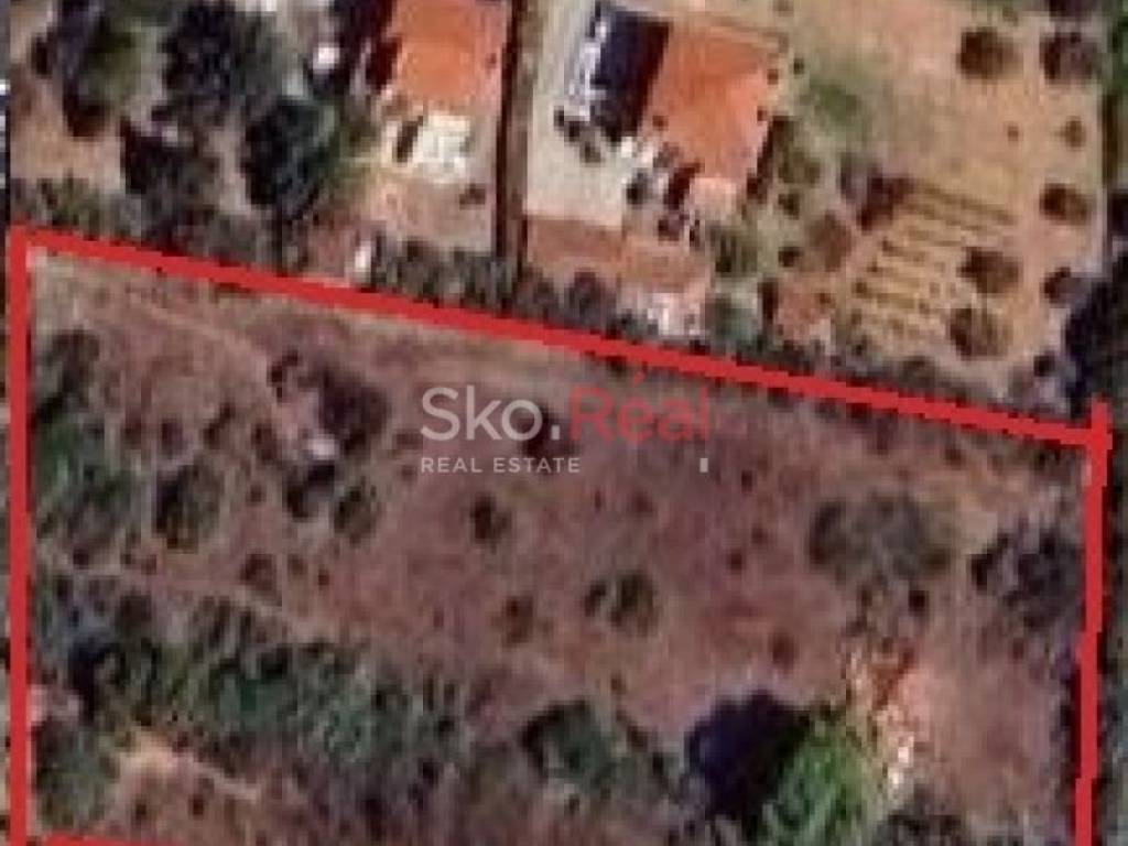 Τοπογραφικό