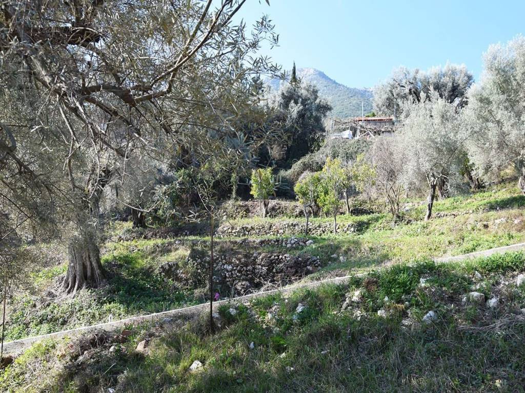 Το οικόπεδο