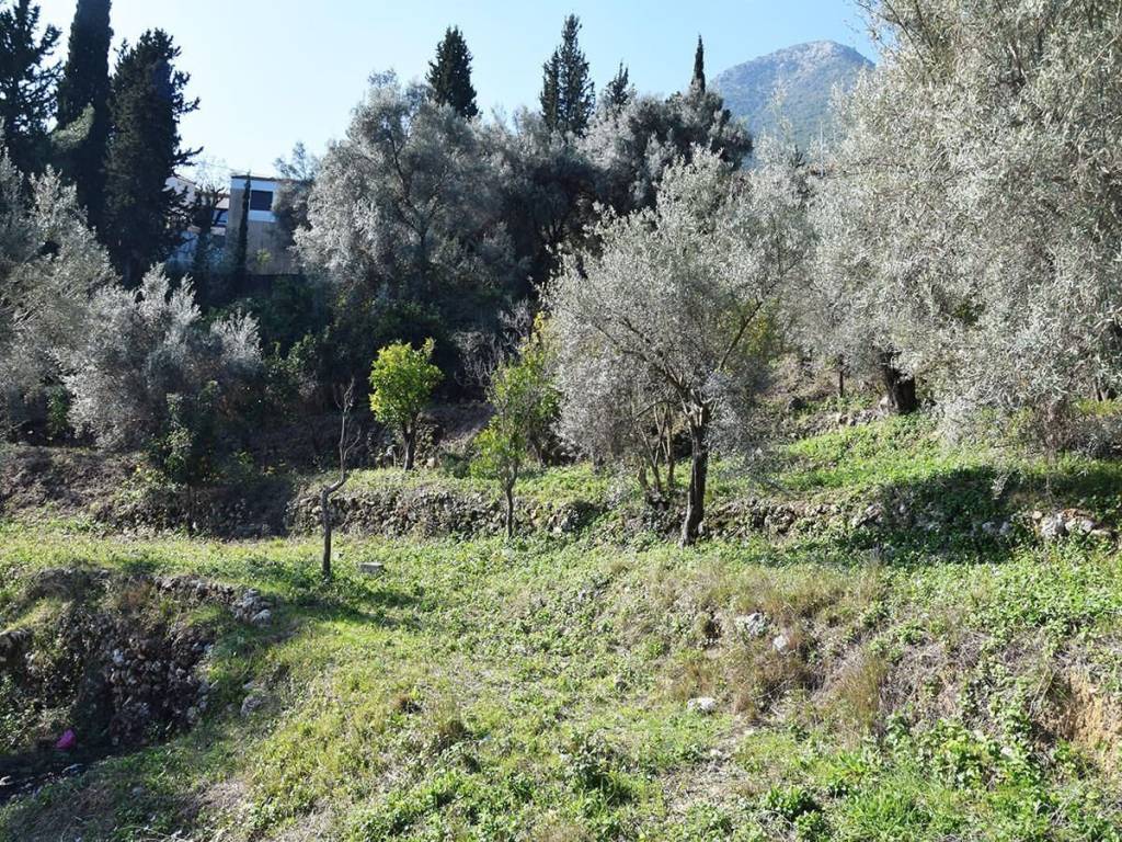 Το οικόπεδο