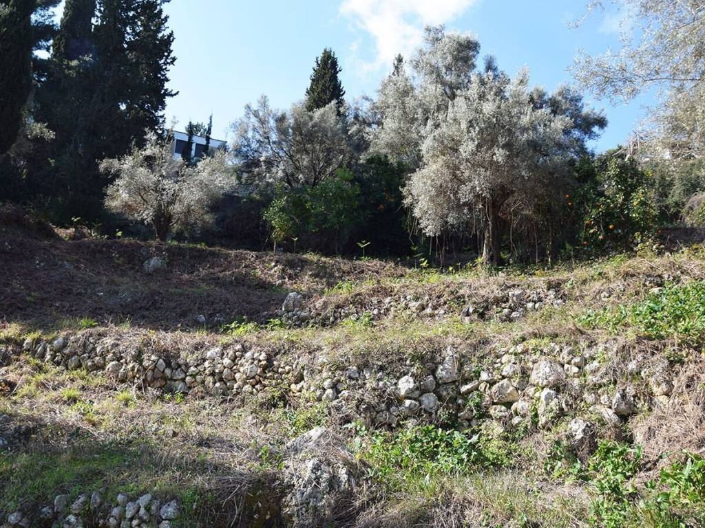 Το οικόπεδο