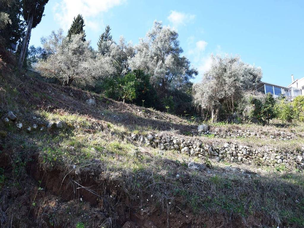 Το οικόπεδο