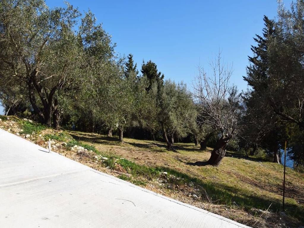 Το παραθαλάσσιο οικόπεδο