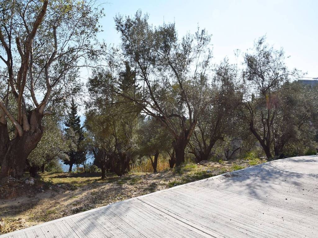 Το παραθαλάσσιο οικόπεδο