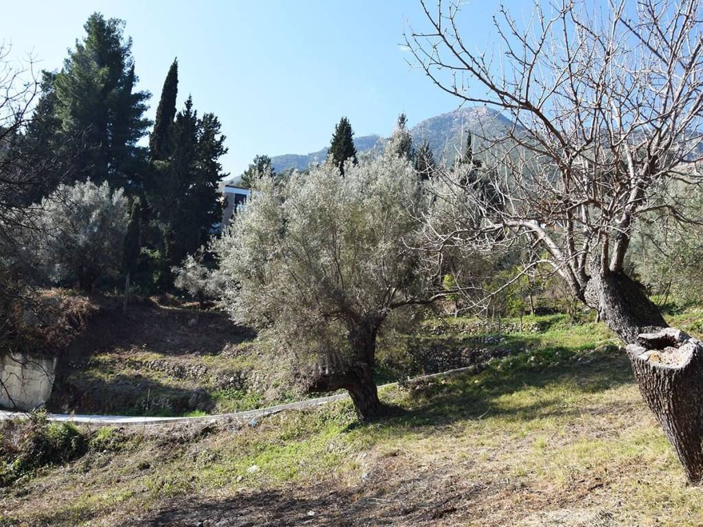 Το παραθαλάσσιο οικόπεδο