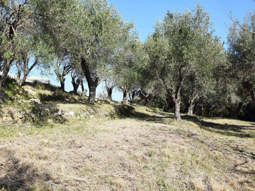 Το παραθαλάσσιο οικόπεδο