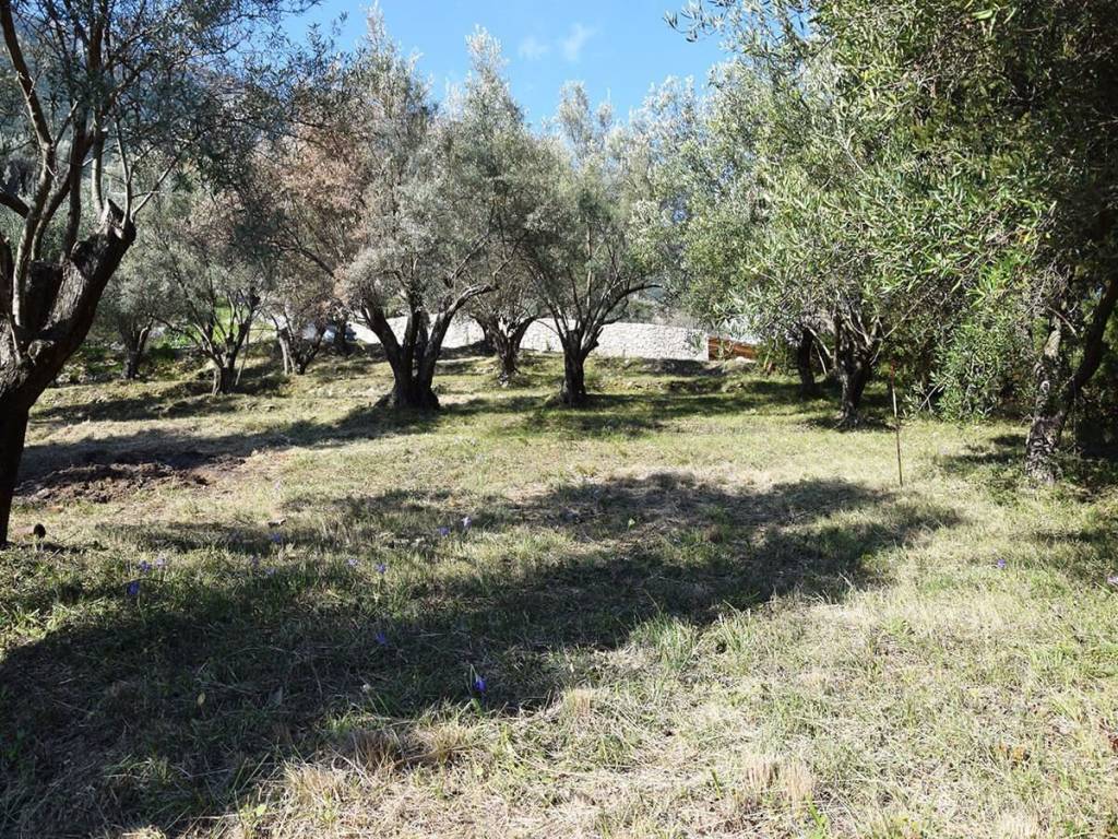 Το παραθαλάσσιο οικόπεδο