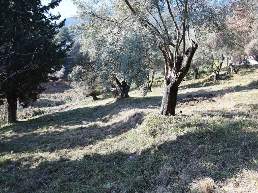 Το παραθαλάσσιο οικόπεδο