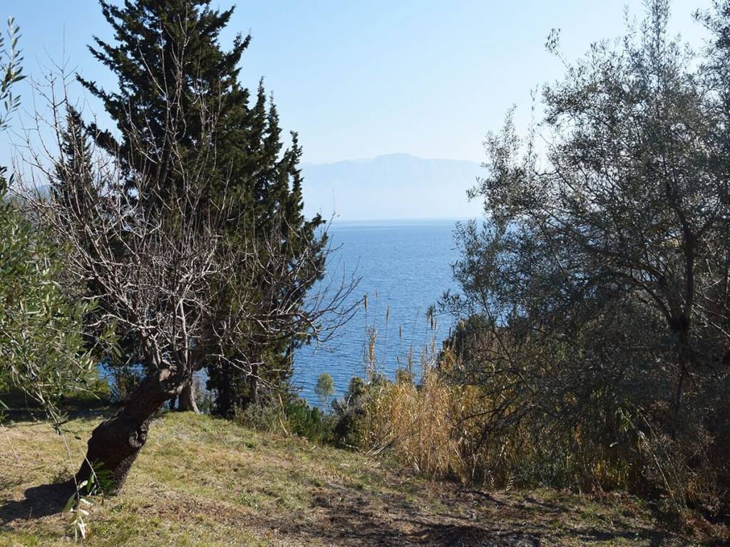 Το παραθαλάσσιο οικόπεδο