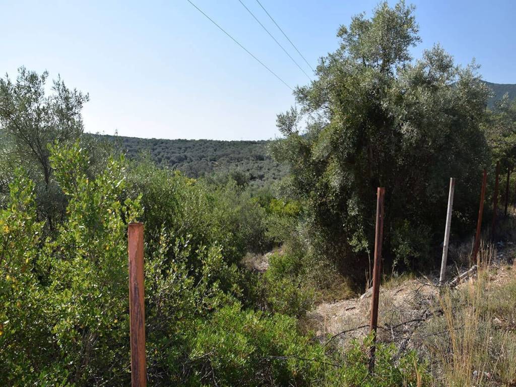 Το αγροτεμάχιο