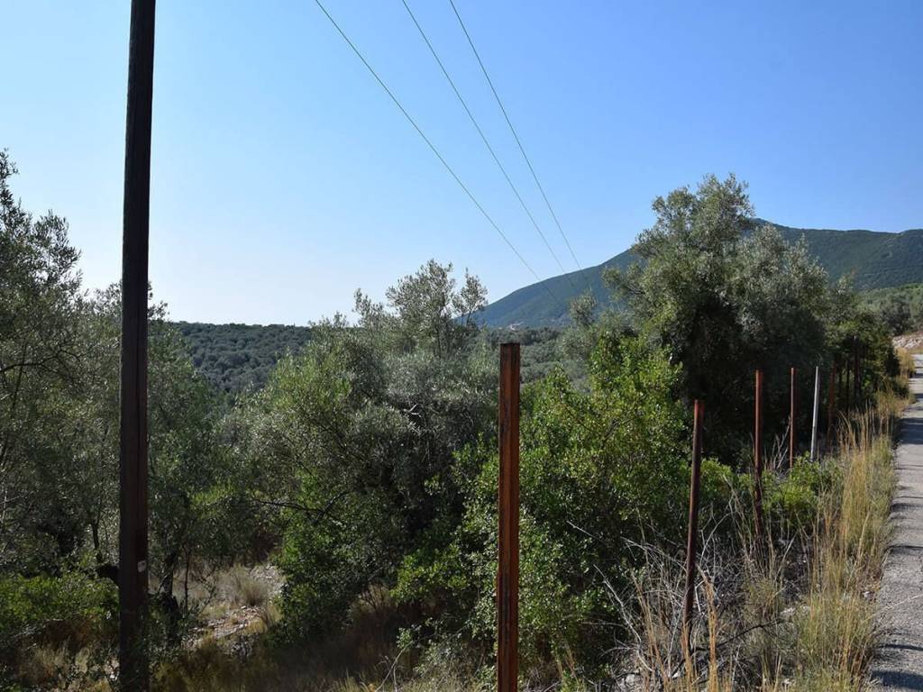 Το αγροτεμάχιο από τον δρόμο