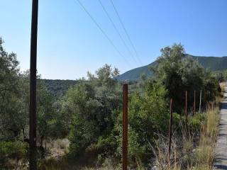 Το αγροτεμάχιο από τον δρόμο