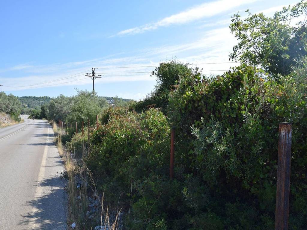 Το αγροτεμάχιο από τον δρόμο