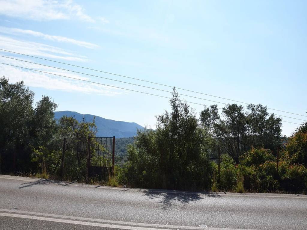 Το αγροτεμάχιο από τον δρόμο