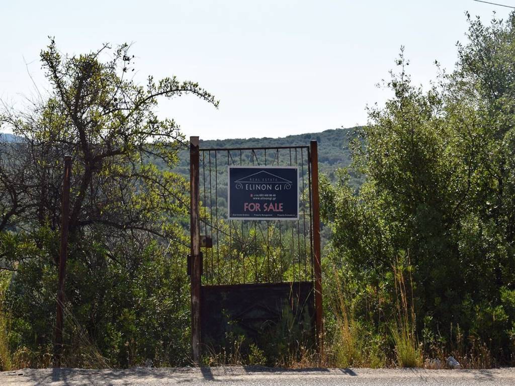 Το αγροτεμάχιο από τον δρόμο