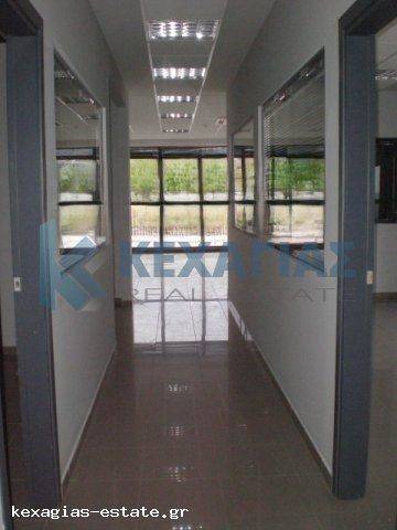 ΕΣΩΤΕΡΙΚΗ ΛΗΨΗ