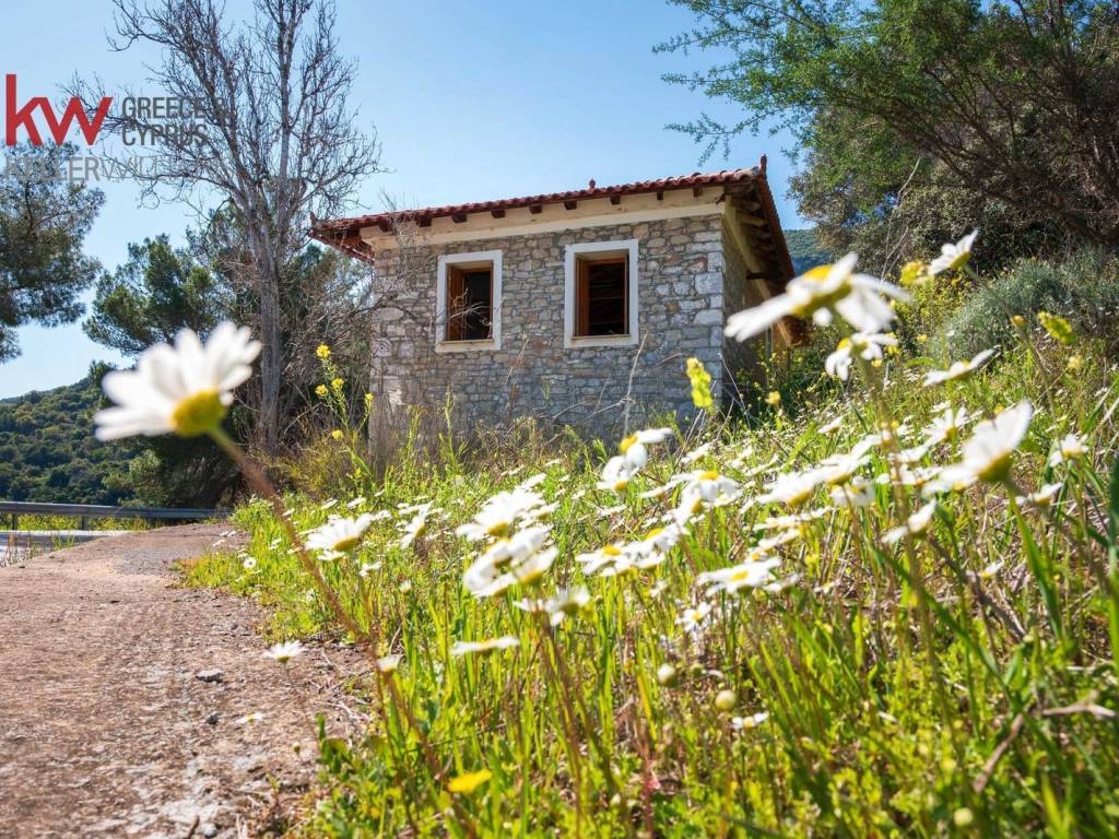 Εξωτερικοι χώροι