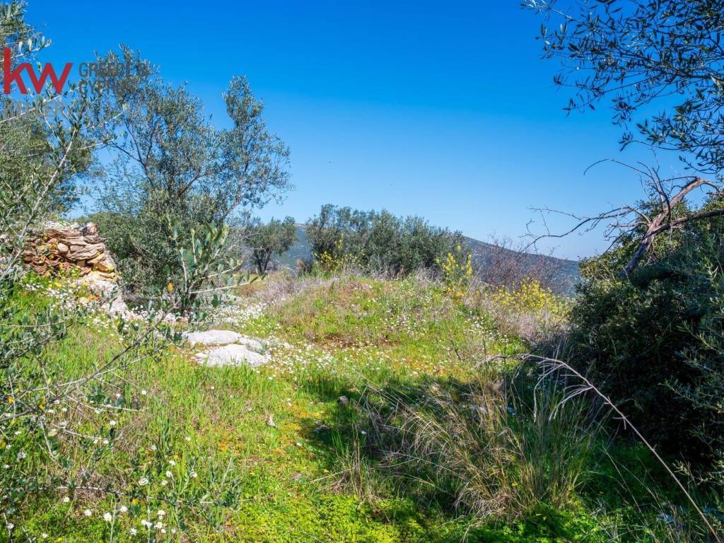 Εξωτερικοι χώροι