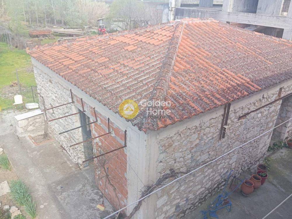 Ανελκυστήρας