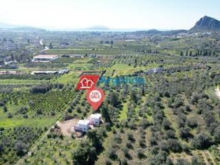 Ύπαρξη ανθρώπου