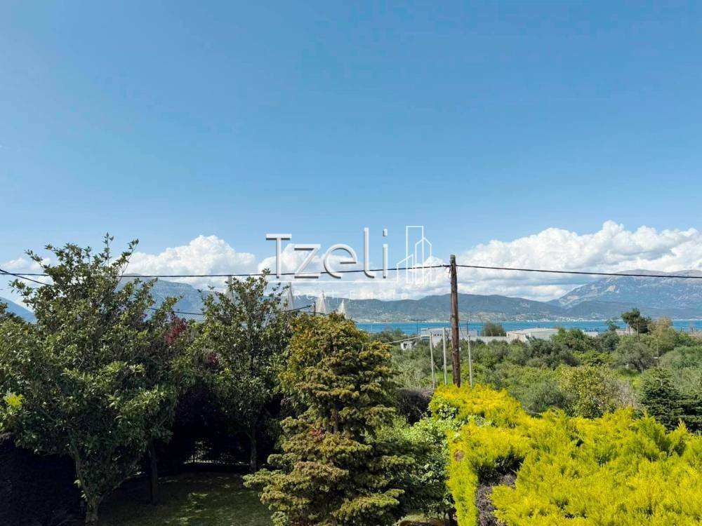 Exoterike apopse choroy