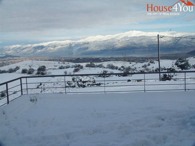 Χιονισμένο τοπίο