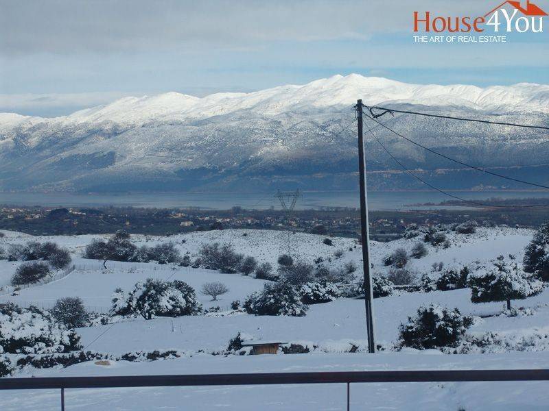 Χιονισμένο τοπίο