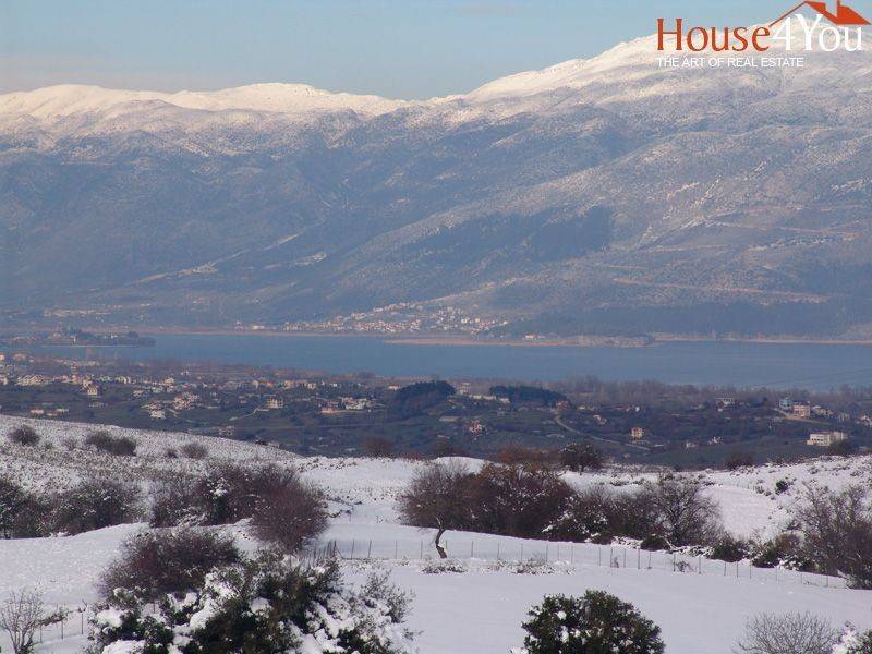 Χιονισμένο τοπίο