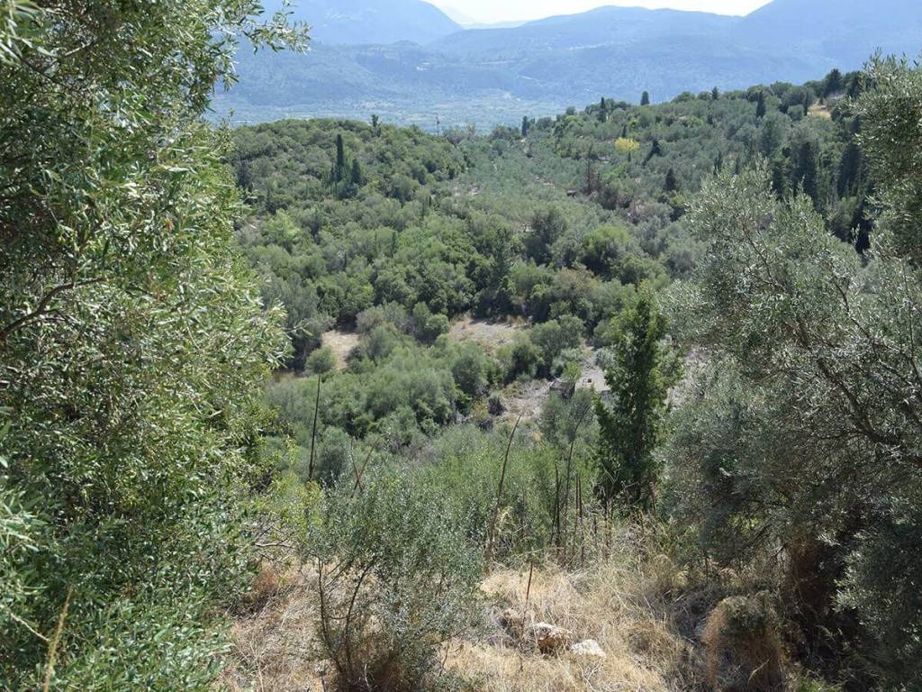 Το οικόπεδο