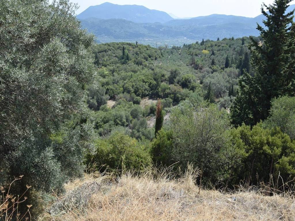 Το οικόπεδο