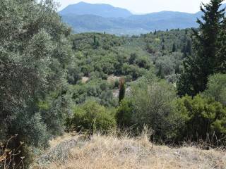 Το οικόπεδο