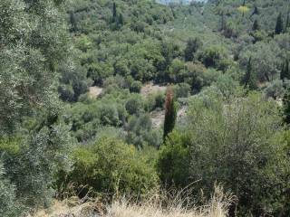 Το οικόπεδο