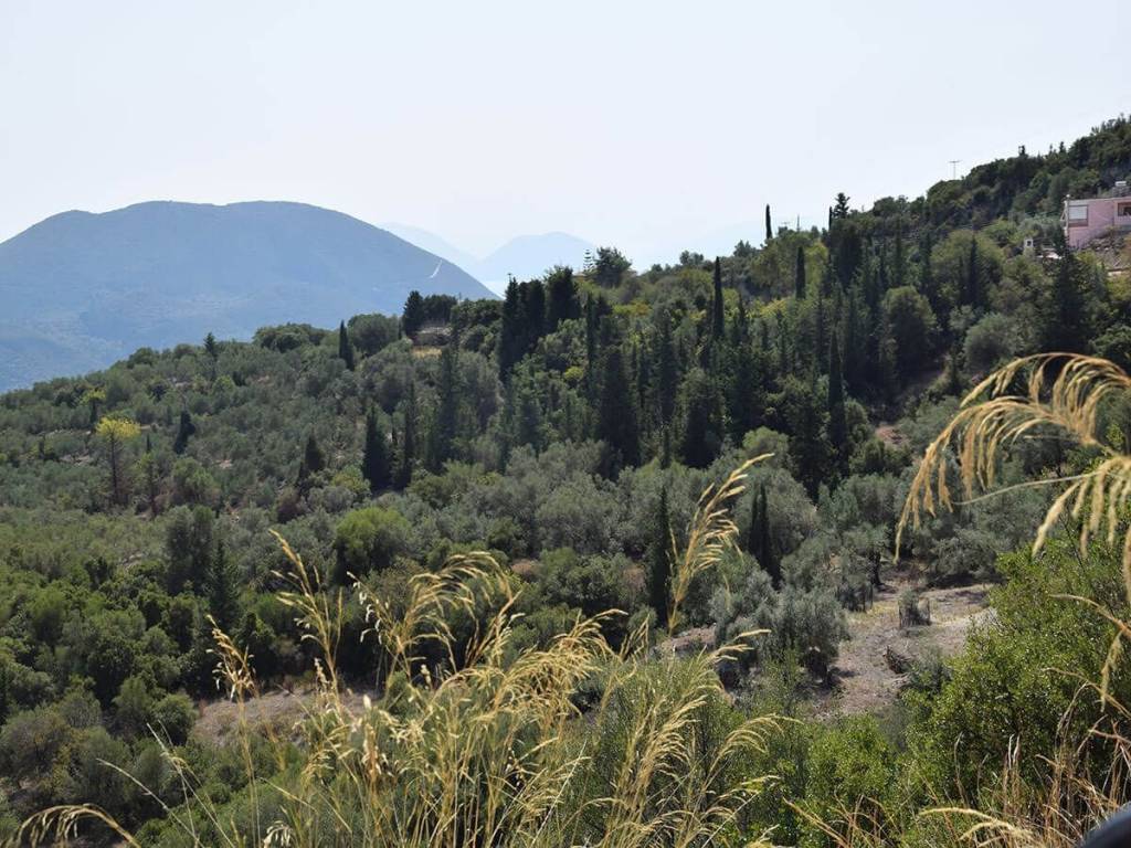 Το οικόπεδο