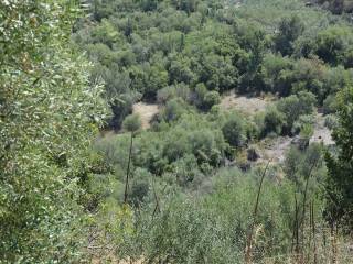 Το οικόπεδο