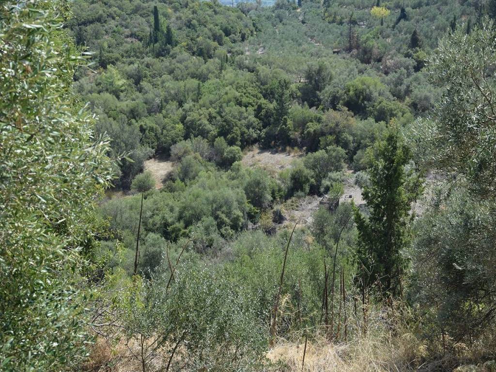 Το οικόπεδο