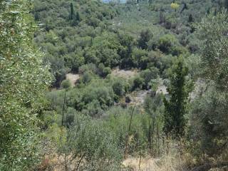 Το οικόπεδο