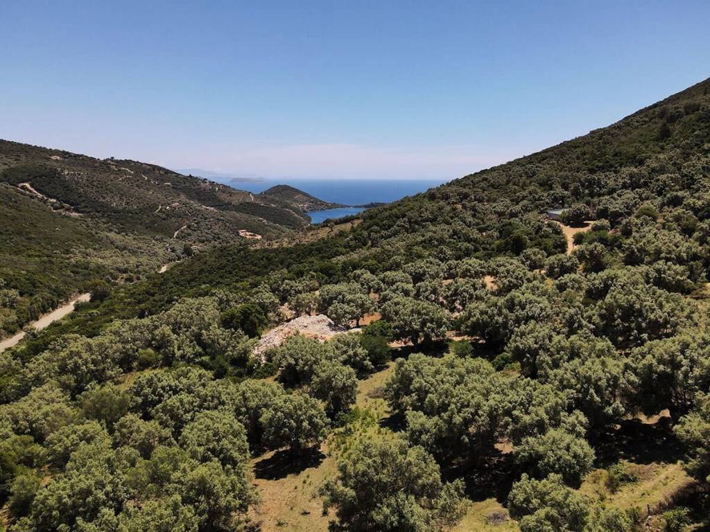 Η θεά από το αγροτεμάχιο