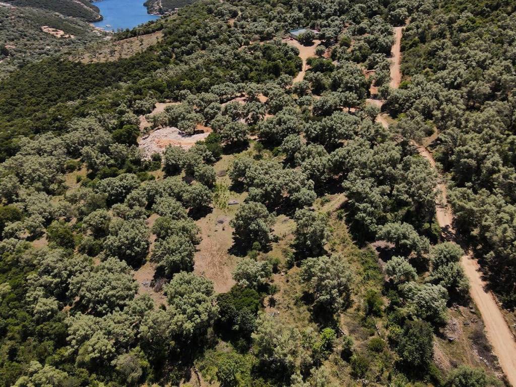 Η θεά από το αγροτεμάχιο