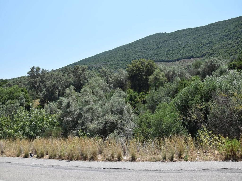 Η πρόσβαση στο αγροτεμάχιο