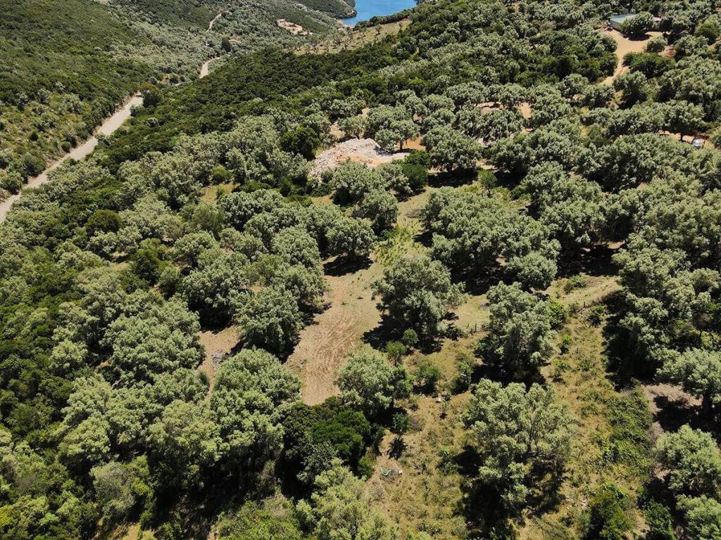 Το αγροτεμάχιο από ψηλά