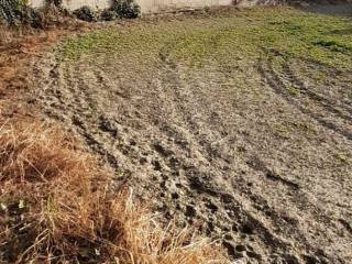 Σκοτούσσα Νομός Σερρών οικόπεδο Αποθήκη