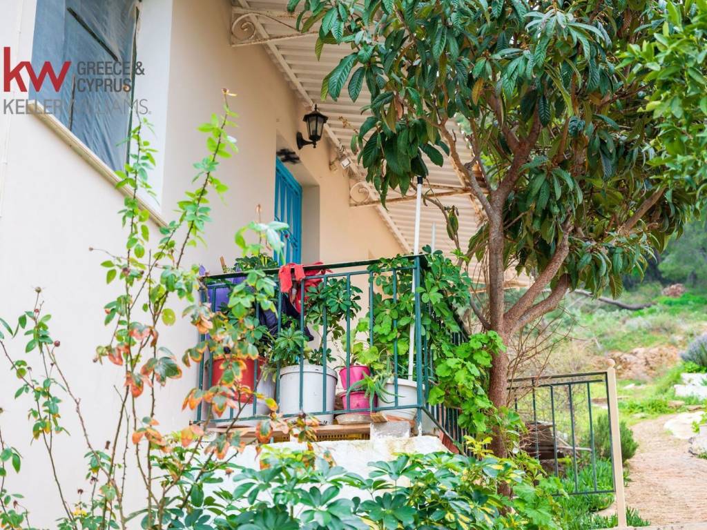 Εξωτερικοι χώροι