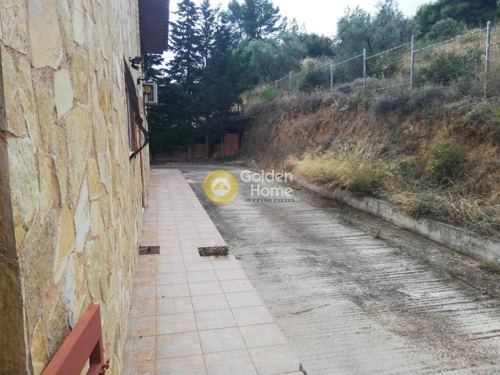 Εξωτερικός Χώρος