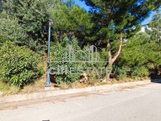 Εξωτερικοι χώροι