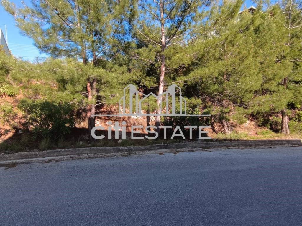 Εξωτερικοι χώροι