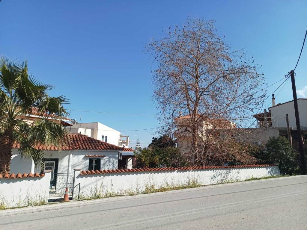 Mantra monokatoikias epi toy dromoy