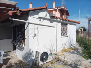 oikopedo -plaina oikias