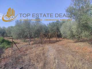 Είσοδος αγροτεμαχίου - περίφραξη