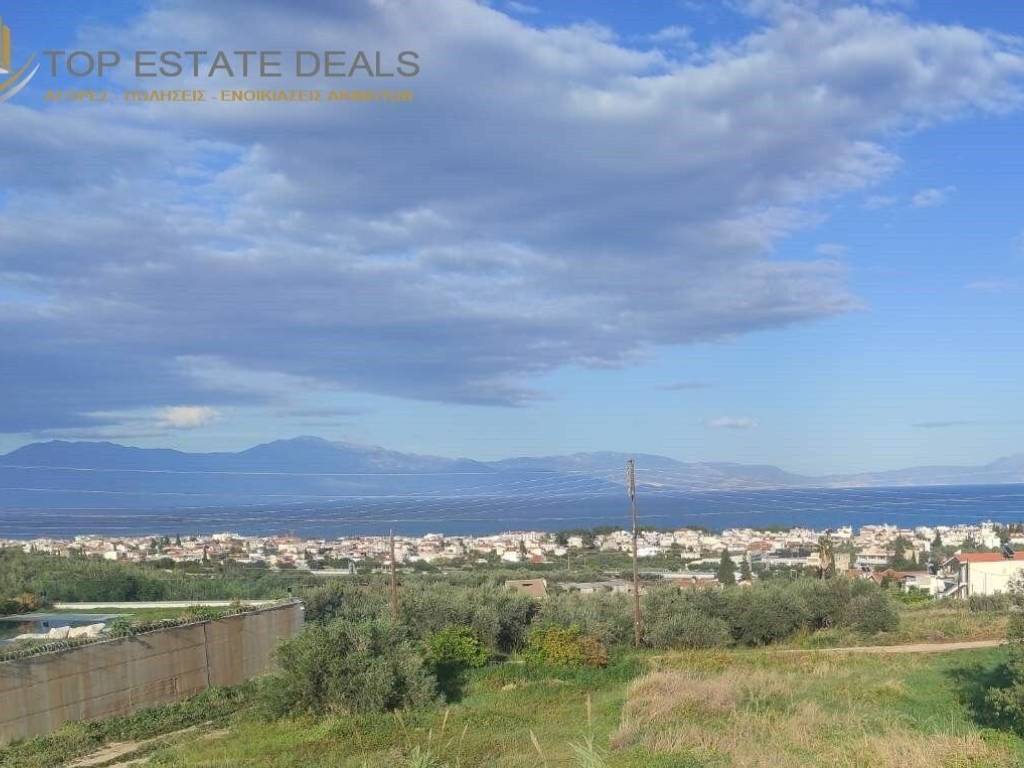 θέα από μπαλκόνι Α ορόφου