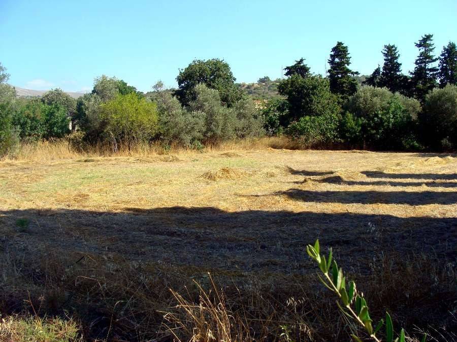 οικόπεδο 1 (φωτογραφία 1 από 3) 