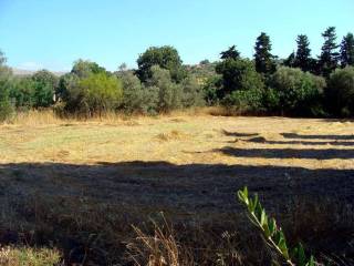 οικόπεδο 1 (φωτογραφία 1 από 3) 